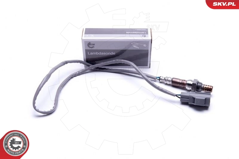 Oxygen Sensor